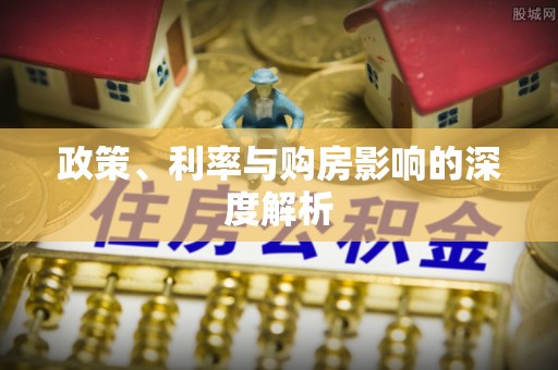 武城政策、利率与购房影响的深度解析