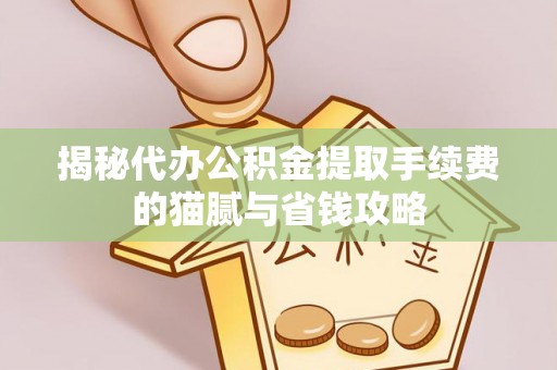 武城揭秘代办公积金提取手续费的猫腻与省钱攻略