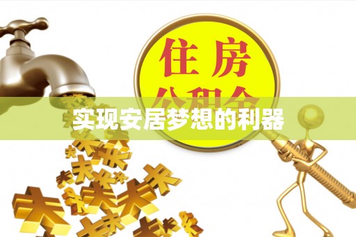 武城实现安居梦想的利器