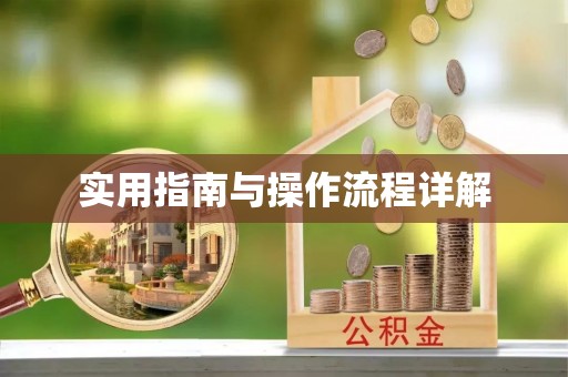 武城实用指南与操作流程详解