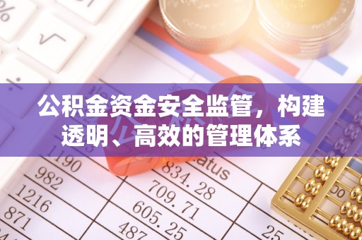 武城公积金资金安全监管，构建透明、高效的管理体系