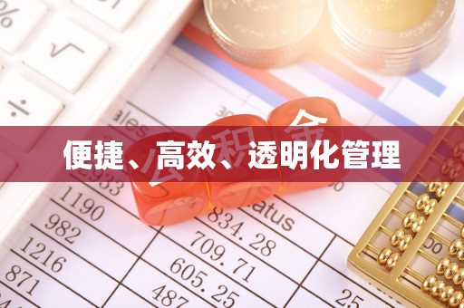 武城便捷、高效、透明化管理