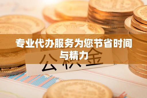 武城专业代办服务为您节省时间与精力