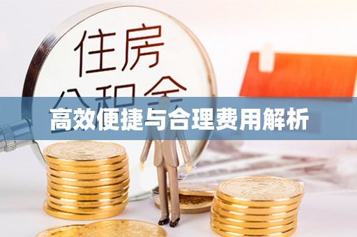 武城高效便捷与合理费用解析