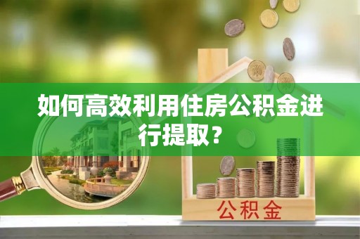 武城如何高效利用住房公积金进行提取？