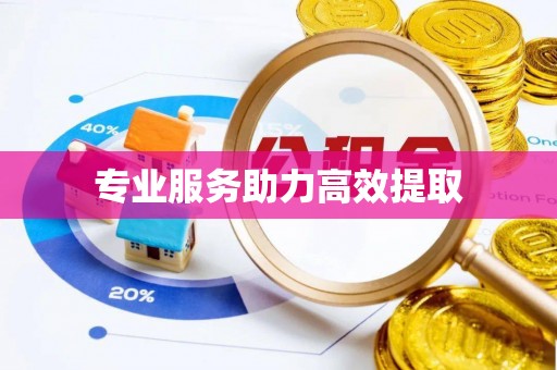 武城专业服务助力高效提取
