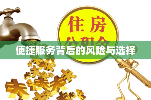 武城便捷服务背后的风险与选择