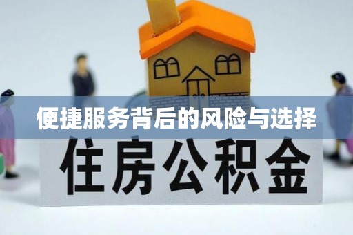 武城便捷服务背后的风险与选择