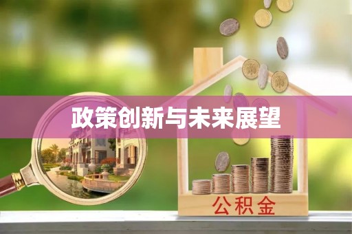 武城政策创新与未来展望