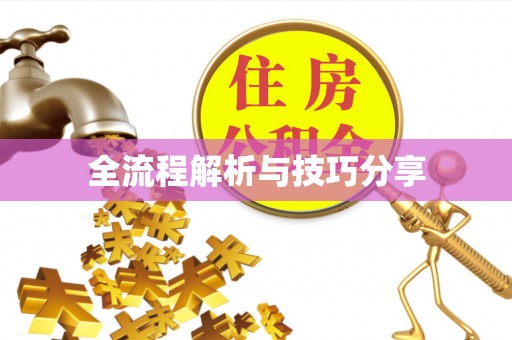 武城全流程解析与技巧分享