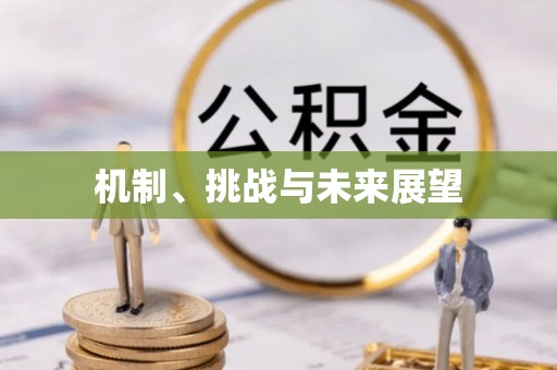 武城机制、挑战与未来展望