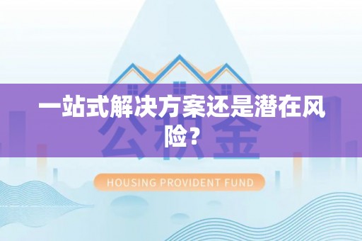 武城一站式解决方案还是潜在风险？