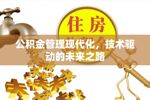 武城公积金管理现代化，技术驱动的未来之路